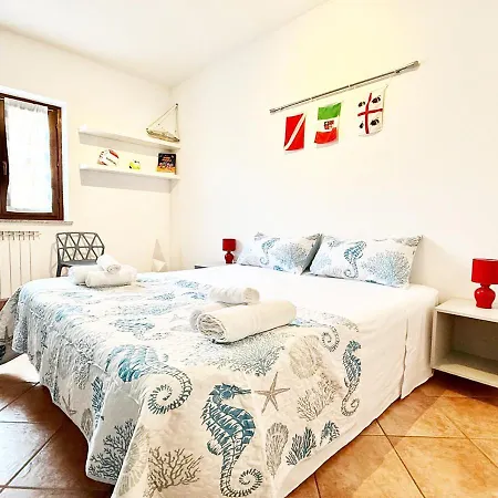 Pgs Immobiliare Srls Gallura Blu Moderno Trilocale Con Parcheggio Privato